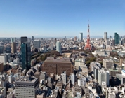 View of Tokyo